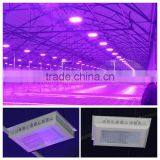 Newest Greenhouse Grow Led Lights 300w,Vegetative 300w Led Grow Lights Grow Panel Grow Lamps thumbnail-1
