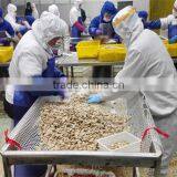 Wild Caught Frozen Baby Clam Half Shell thumbnail-3