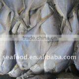 Frozen White Pomfret thumbnail-1