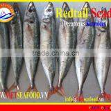 FROZEN W/R REDTAIL SCAD thumbnail-1