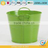 Iron and Zinc Unique Embossing Powder Coated Flowering Plants in Pots Decoration Garden Flower Pot thumbnail-3