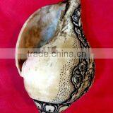 Best Selling White Conch Bhairav Crafted Shankha thumbnail-5