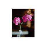 Artificial Flowers PU Phalaenopsis thumbnail-1
