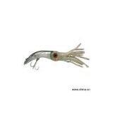 Sell Swimming Squid