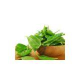 Spinach Extract