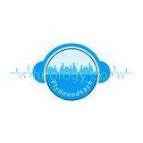 Flysound Technology Co., Ltd. company overview - view 1 thumbnail