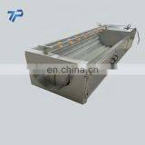 Big Capacity Brush Fruit and Vegetable Washing Machine thumbnail-7