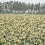 Zhangqiushilianguandacongliangzhongxiaoshoubu company overview - view 3 thumbnail