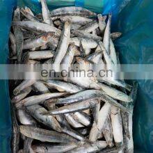 Good Quality IQF Sardine Fish Export for Fishing Bait thumbnail-3