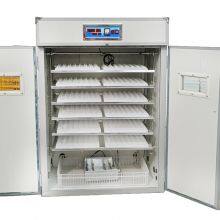 Electricity Baby Mini Reptile Incubators