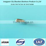 China Supplier Sales Stainless Steel Screw for Dubai Market