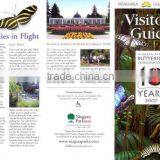 Professional Folded Brochure Printing