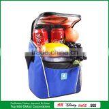 Wholesale Picnic Bags Multifunction Picnic Bag