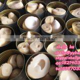 Canned Bamboo Shoot With Water ,2950g Half Bamboo Shoot thumbnail-3
