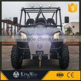 5000W Electric Utility Vehicle UTV