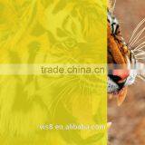 Transparent Transparency and Decorative Film Usage Yellow Insect Prevention Laminating Film thumbnail-5