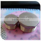 150lbs Rating Stainless Steel 304 Hex Plug Male Thread Bspt 1"
