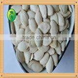 Shine Skin Pumpkin Seeds Chinese Watermelon Seed Inner Mongolia thumbnail-4