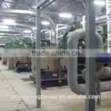 1MW Biomass Power Generation Equipment thumbnail-3