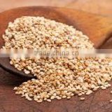 Natural plant extract Sesame Seed Extract 98% Sesamin