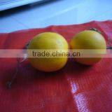 New Material Vegetable % Friuit Plastic Bag thumbnail-5