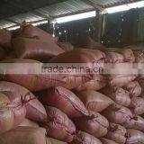 Loose Cocopeat (Qiu Qiu : 2598494113) thumbnail-3