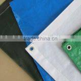 Coated pe Tarpaulin Buyer Customized 100% Waterproof Virgin pe Tarpaulin