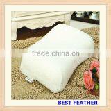 Decorative Pillow thumbnail-1