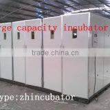30000 Eggs Large Capacity Automatic Chicken Egg Incubator for Eggs thumbnail-3