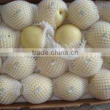 Crown Pear / Golden Pear thumbnail-3