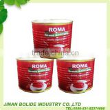 70g canned tomato paste / high quality /made in china/