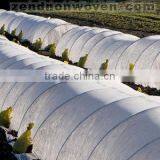 PP NON-WOVEN FABRIC FOR AGRICULTURE 12-90GSM