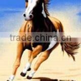 Custom Beach Towel With Company Logo/slogan;beach Towel Wholesaler