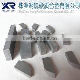 Tungsten Carbide Tool/tungsten Carbide Tip