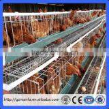3 Tiers of 120 Birds Layer Cage/Uzbekistan Poultry Equipment(Guangzhou Factory) thumbnail-2