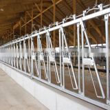 factory price galvanized cattle/cow farm equipment for headlock