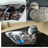 Mother Duck Decoy Sock thumbnail-3
