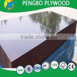 20mm Black Film Faced Plywood thumbnail-3