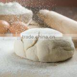 China Promotional Double Speed 20L Dough Mixer thumbnail-5