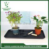 2015 Hot Sale China Professional Manufacturer for Plastic Shoe Tray From Factory thumbnail-4