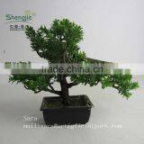 Indoor Bonsai,potted Evergreen Foliage, Decorative Landscape thumbnail-6