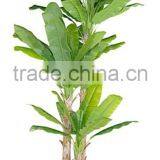 Artificial Bonsai Tree Artificial Banana Plantain Fake Trees thumbnail-3