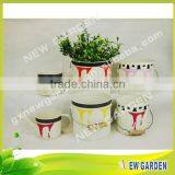New Product Fashionable Factory Pprice Mini Galvanized Watering Can thumbnail-1