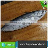 Carton or Woven Bag Packed Without Faure Marin Auxis Thazard wr thumbnail-3