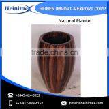 Standard Export Quality Planters With Resin Lamination thumbnail-1