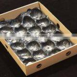 China Supply Cheap Plastic Fruit Tray thumbnail-6