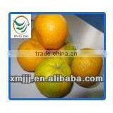 Wholesale Price Fresh Citrus Oranges thumbnail-5
