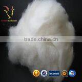 High-end Sheep Cashmere Mongolia Factory thumbnail-1