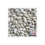 >White Kidney Beans thumbnail-1