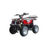 Electric ATV